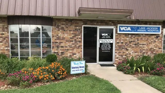 VCA Lake Jackson Animal Hospital — photo from the business 1