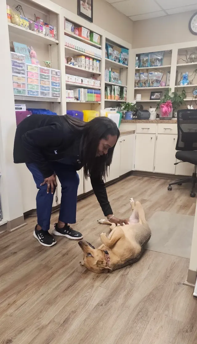 VCA Lake Jackson Animal Hospital — photo from the business 9