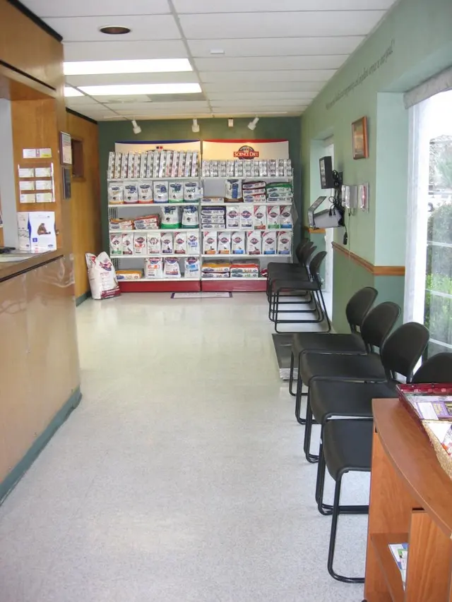 VCA Lake Jackson Animal Hospital — photo from the business 6