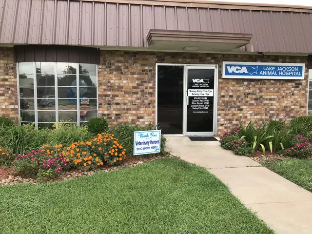 VCA Lake Jackson Animal Hospital — photo from the business 2