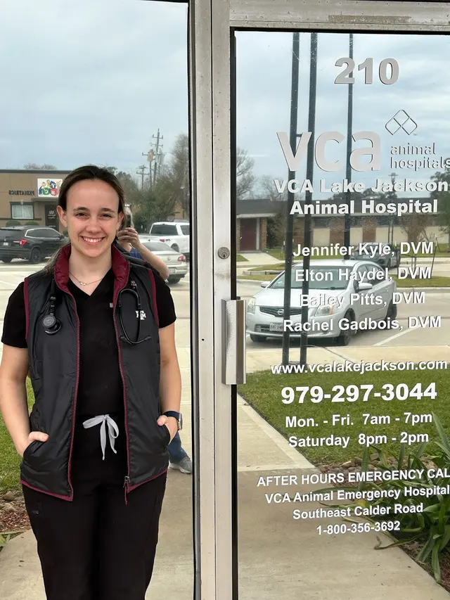 VCA Lake Jackson Animal Hospital — photo from the business 7