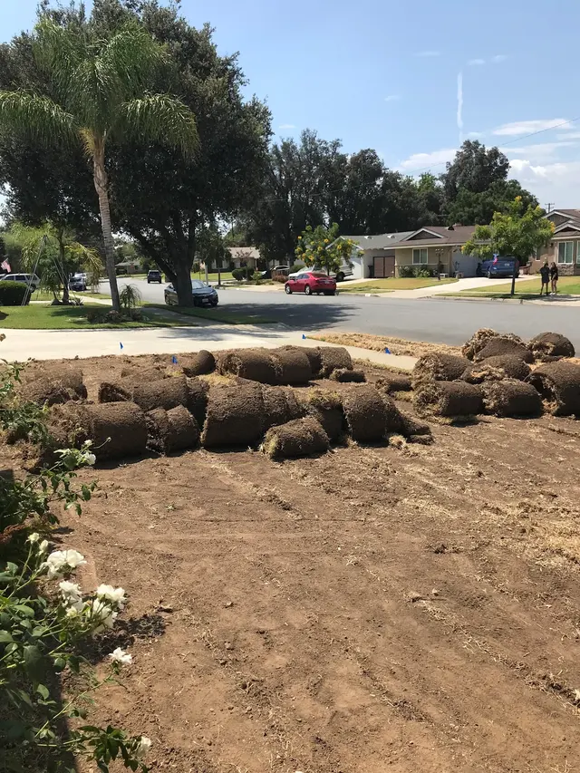 Lumberjack Junk Removal — customer photo 7