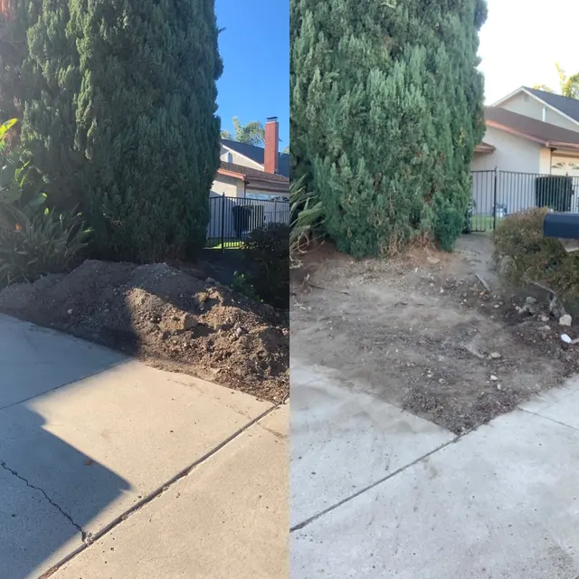 Lumberjack Junk Removal — photo from the business 4