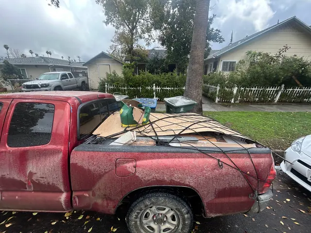 Precise Junk Removal — photo from the business 6