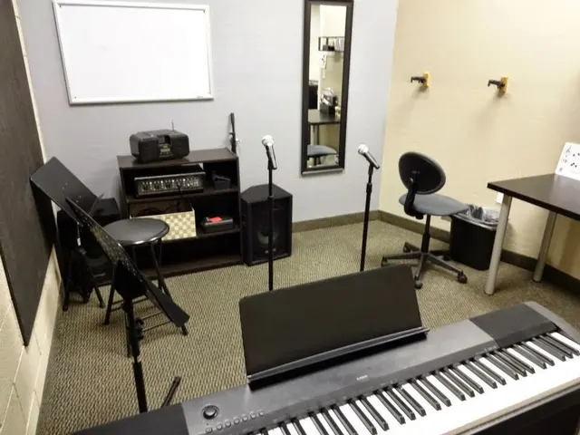 Musical Surprise — photo from the business 9