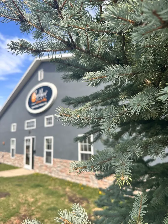 BeeHive Homes of Grain Valley — photo from the business 6