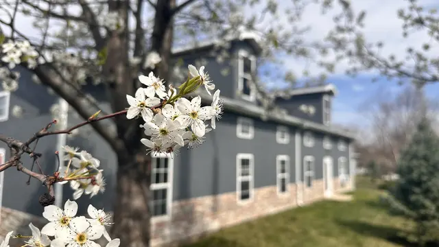 BeeHive Homes of Grain Valley — photo from the business 5