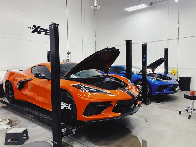 XPEL Las Vegas — photo from the business 6
