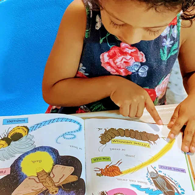Kids Funtastic — photo from the business 11