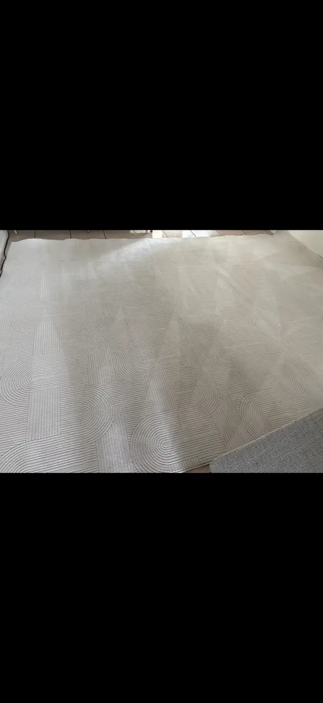 The Steam Cleaning Services — customer photo 10