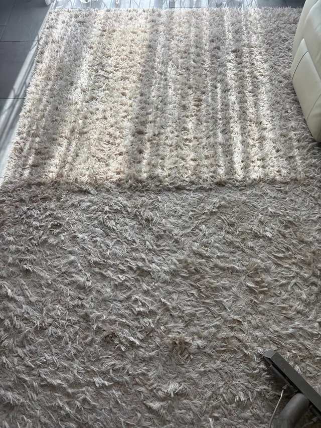 The Steam Cleaning Services — customer photo 7