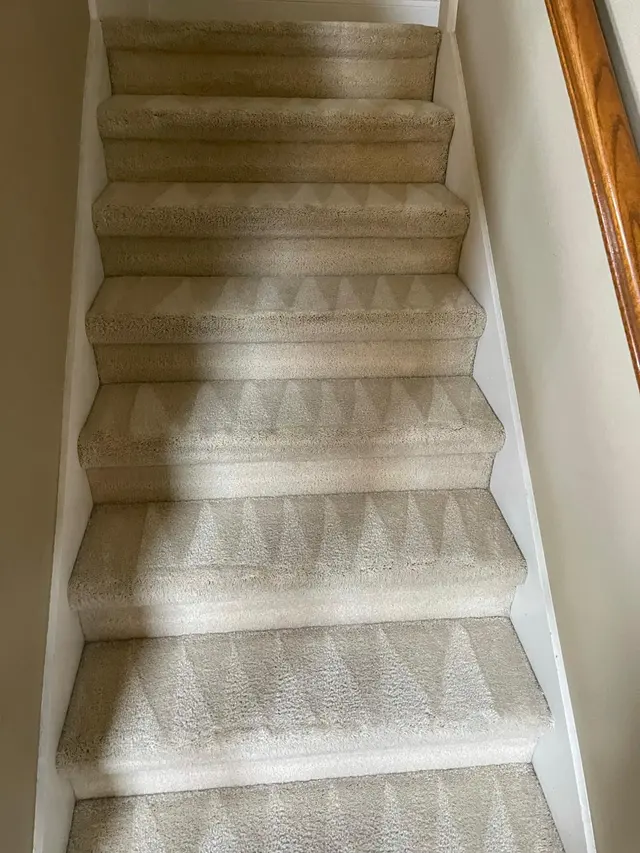 The Steam Cleaning Services — photo from the business 3
