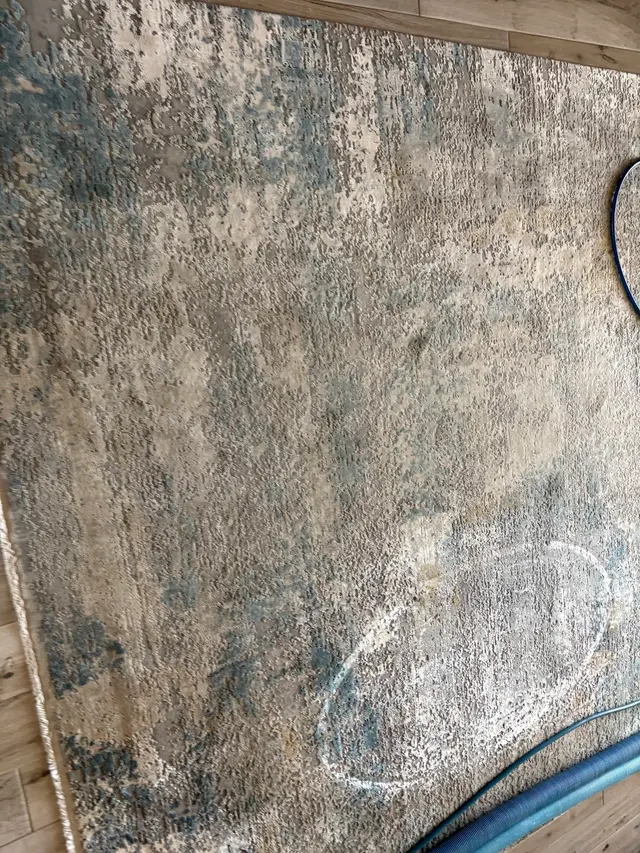 The Steam Cleaning Services — customer photo 12