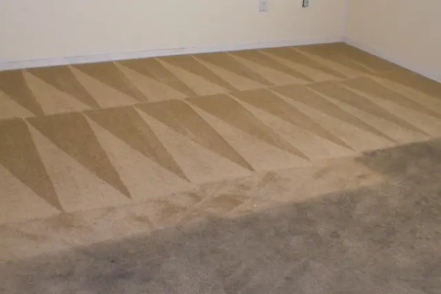 The Steam Cleaning Services — photo from the business 2