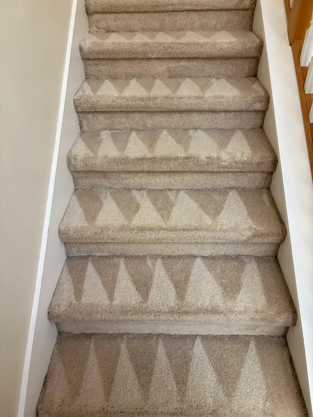 The Steam Cleaning Services — customer photo 11