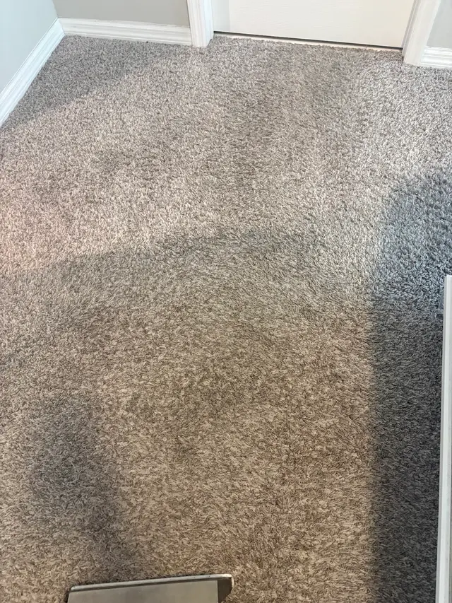 The Steam Cleaning Services — customer photo 8