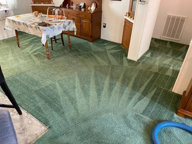 The Steam Cleaning Services — photo from the business 1