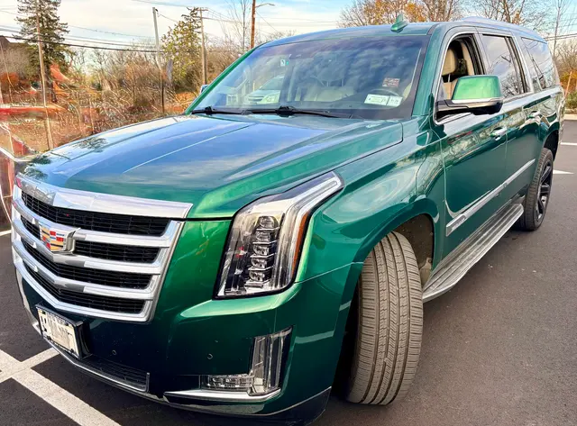 Global Collision And Body Works — photo from the business 6