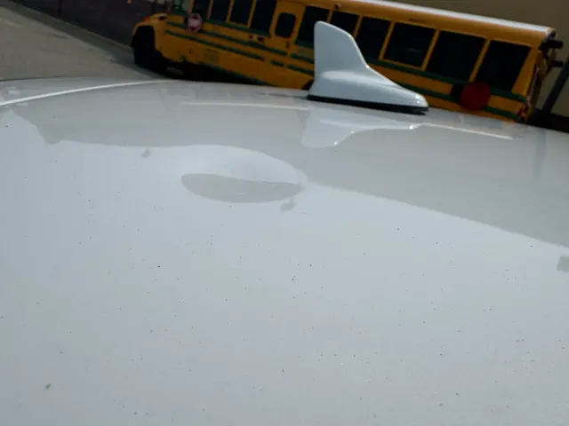 Customer photo of work by Lux Auto Body Inc, from Craig Stewart's review