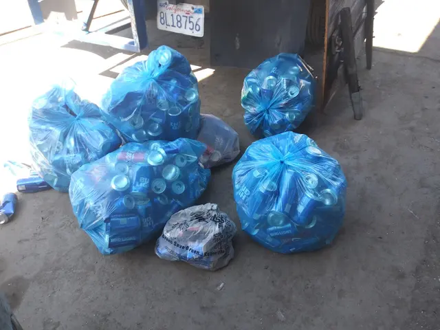 Los Amigos Recycling — customer photo 10
