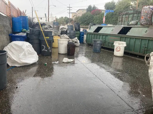 Lomeli Market — customer photo 3