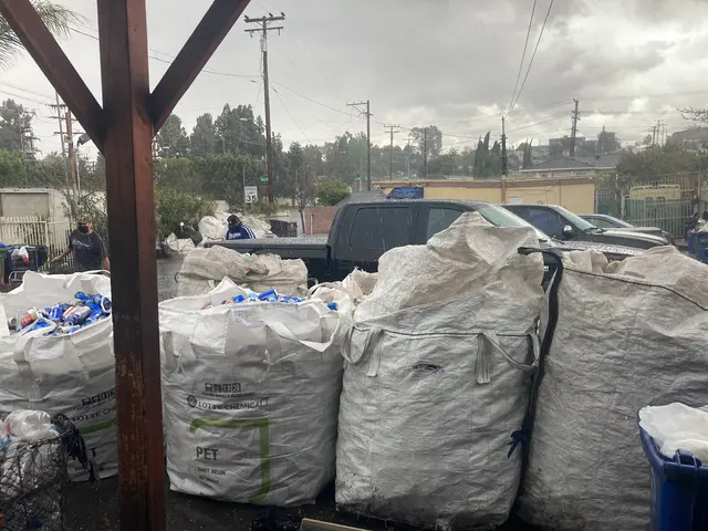 Lomeli Market — customer photo 2