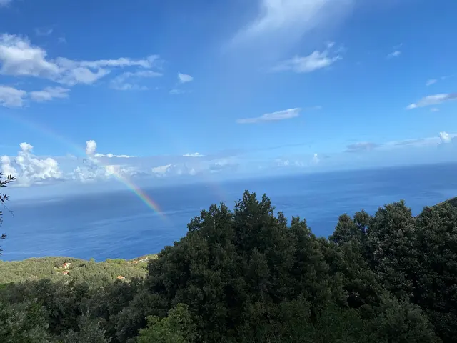 Nellcôte Travel Advisors - Dream Vacations — customer photo 10
