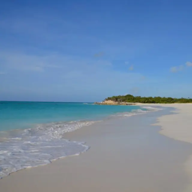 Vacations In Paradise — photo from the business 10