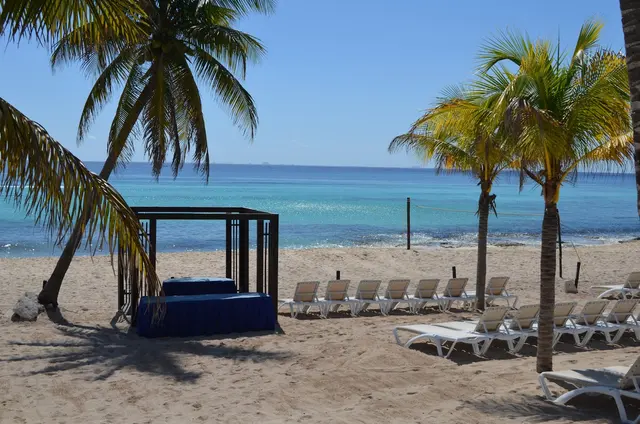 Vacations In Paradise — photo from the business 2