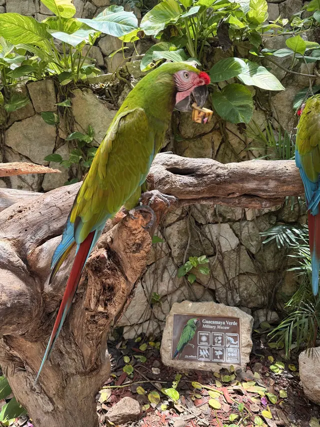 Customer photo of work by Vacations In Paradise, from Jennifer Grimaldo's review