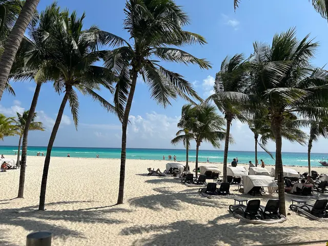 Customer photo of work by Travel TK, from Elise Kendall's review