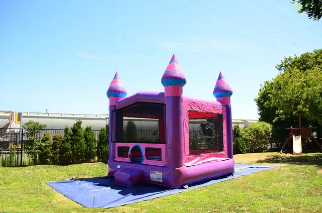 Lakeside Bounce — photo from the business 8