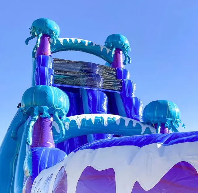 Happy Hill's House of Bounce — photo from the business 12