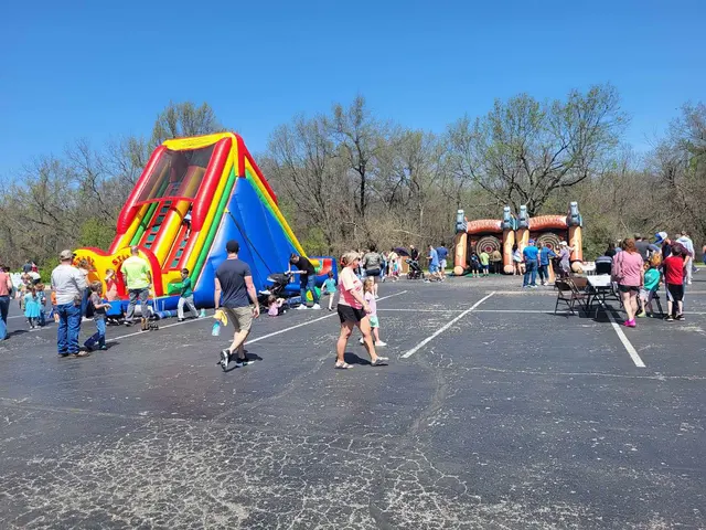 ShipShape Party Rentals — photo from the business 6
