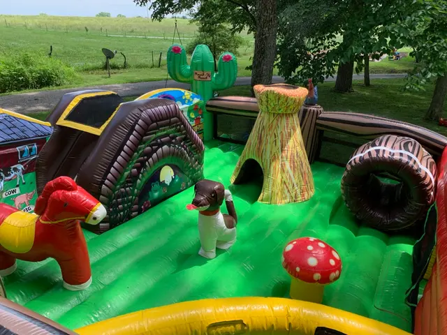 Moon Bounce Kansas City Rentals — photo from the business 7