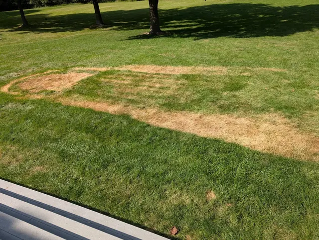 Moon Bounce Kansas City Rentals — customer photo 2