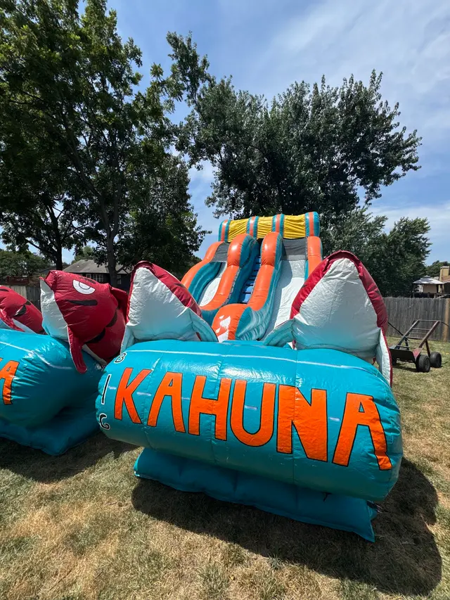 Moon Bounce Kansas City Rentals — customer photo 9