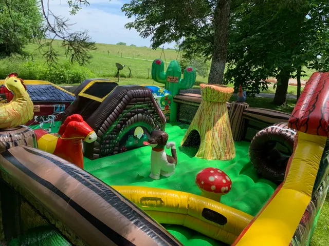 Moon Bounce Kansas City Rentals — photo from the business 8