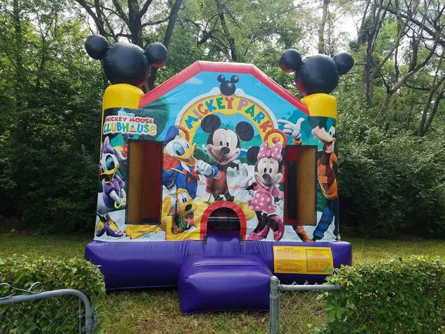 Top Flight Bounce House — photo from the business 5