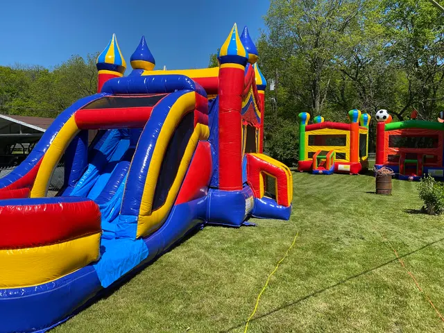 Mo Bounce Inflatables — photo from the business 7