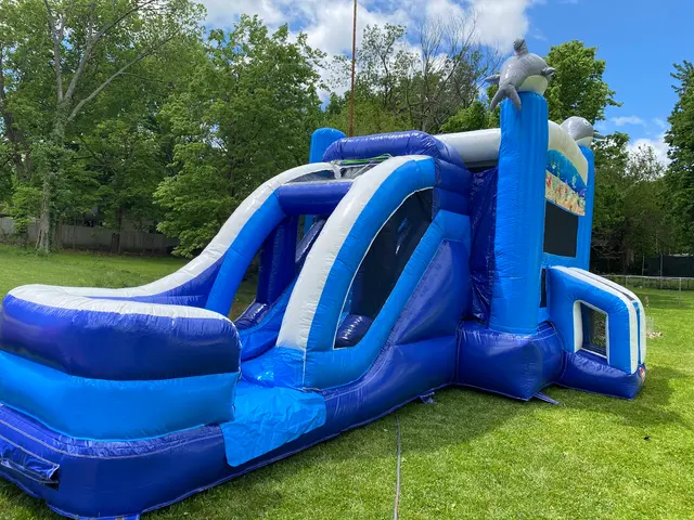 Mo Bounce Inflatables — photo from the business 9