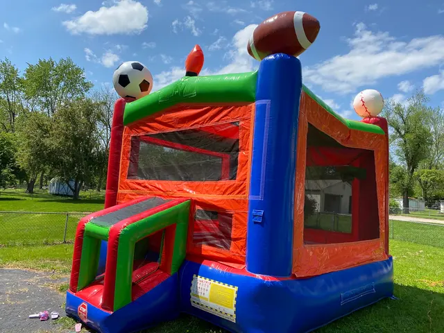 Mo Bounce Inflatables — photo from the business 10