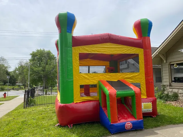 Mo Bounce Inflatables — photo from the business 12