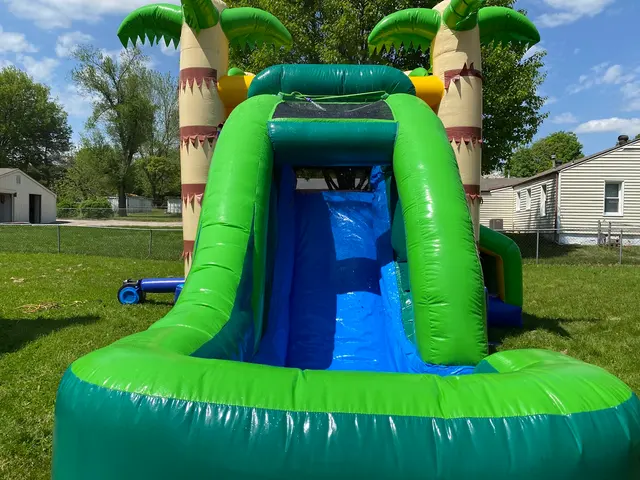 Mo Bounce Inflatables — photo from the business 11