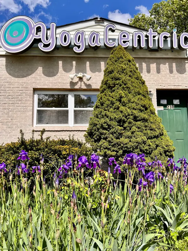 YogaCentric — photo from the business 3