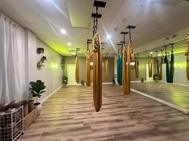 Rise Aerial Yoga & Fitness — photo from the business 7