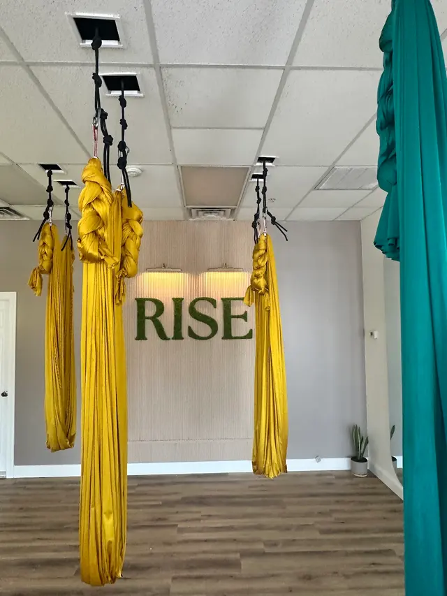 Rise Aerial Yoga & Fitness — photo from the business 1