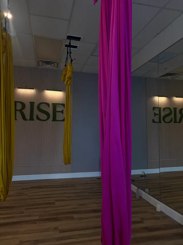 Customer photo of work by Rise Aerial Yoga & Fitness, from Sarah Silva's review