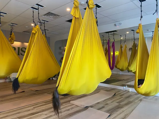 Customer photo of work by Rise Aerial Yoga & Fitness, from Z. Serrano's review