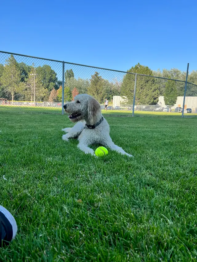 Tautphaus Park Elk Softball Field — customer photo 1